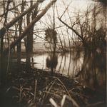 Pond #1 by Regen Quinn
