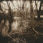 Pond #2 by Regen Quinn